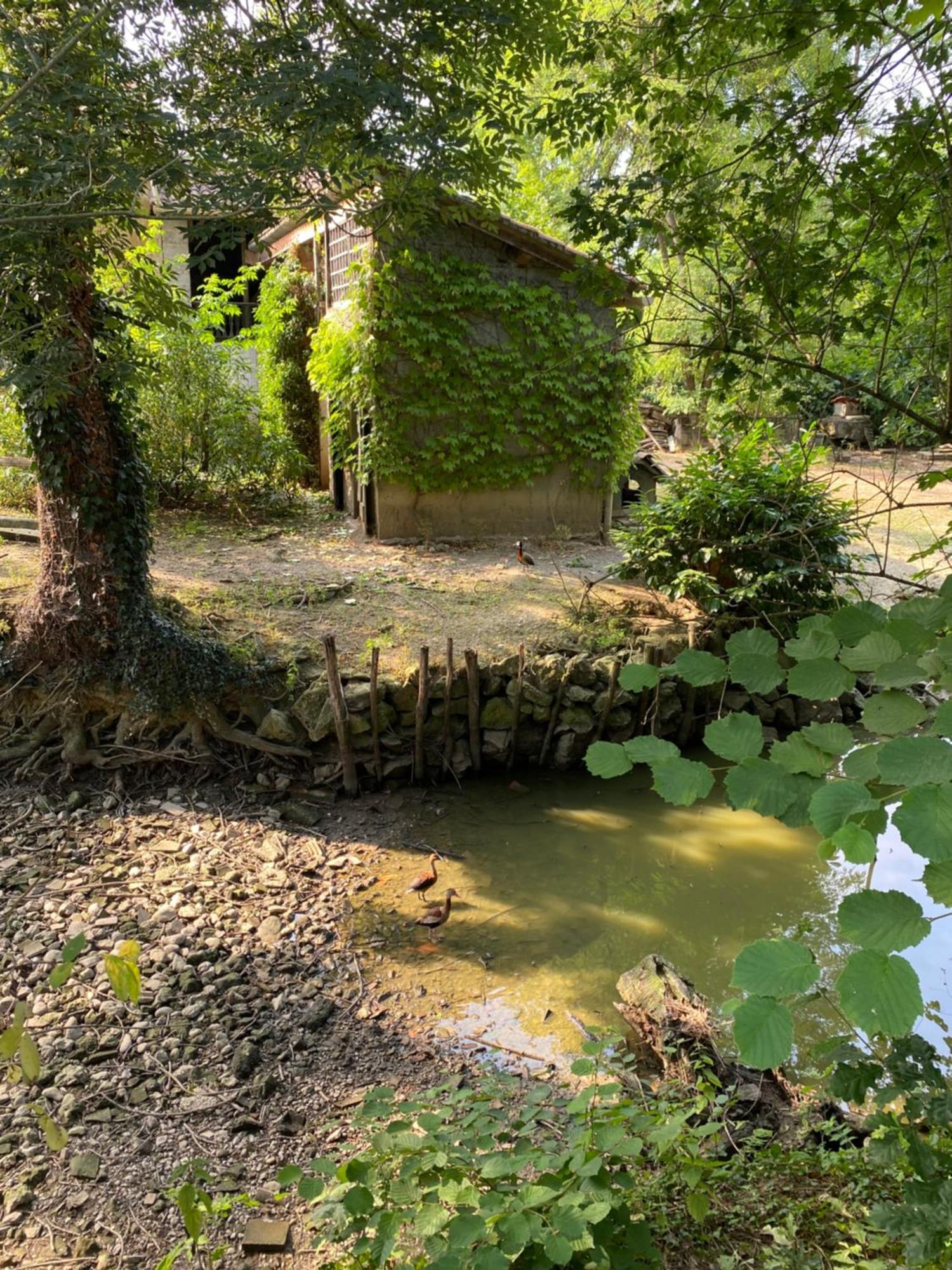 La Seigneurie De Tillac Экстерьер фото